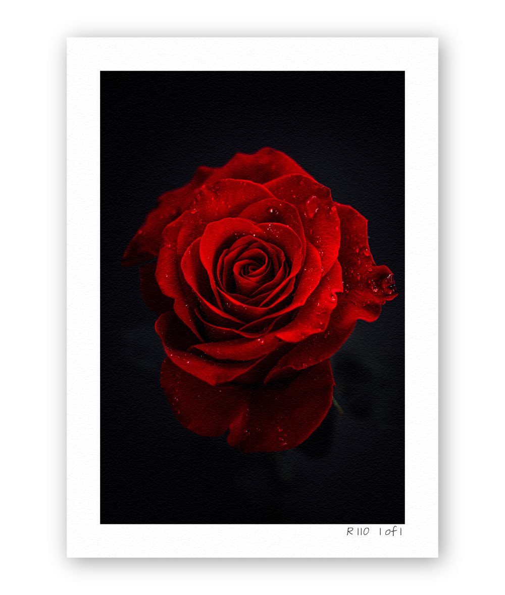 Scarlet Silence R110