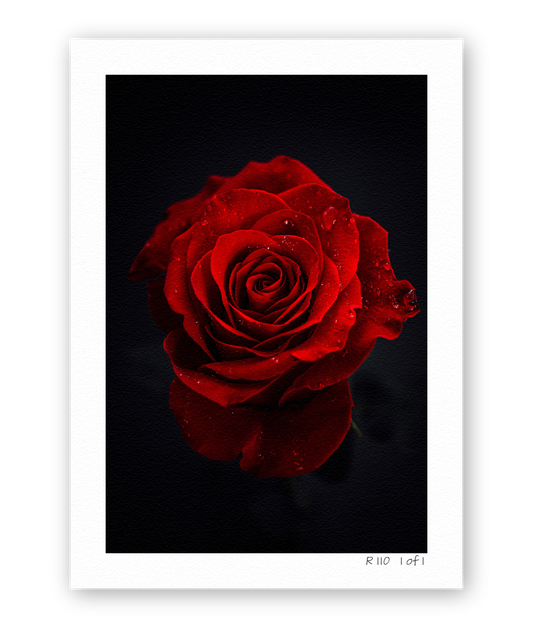 Scarlet Silence R110